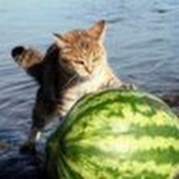 Meet your Posher, Heather - Picture 1 of 1